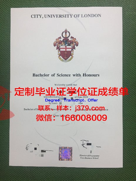 毕尔肯大学本科毕业证(毕尔肯大学本科毕业证图片)