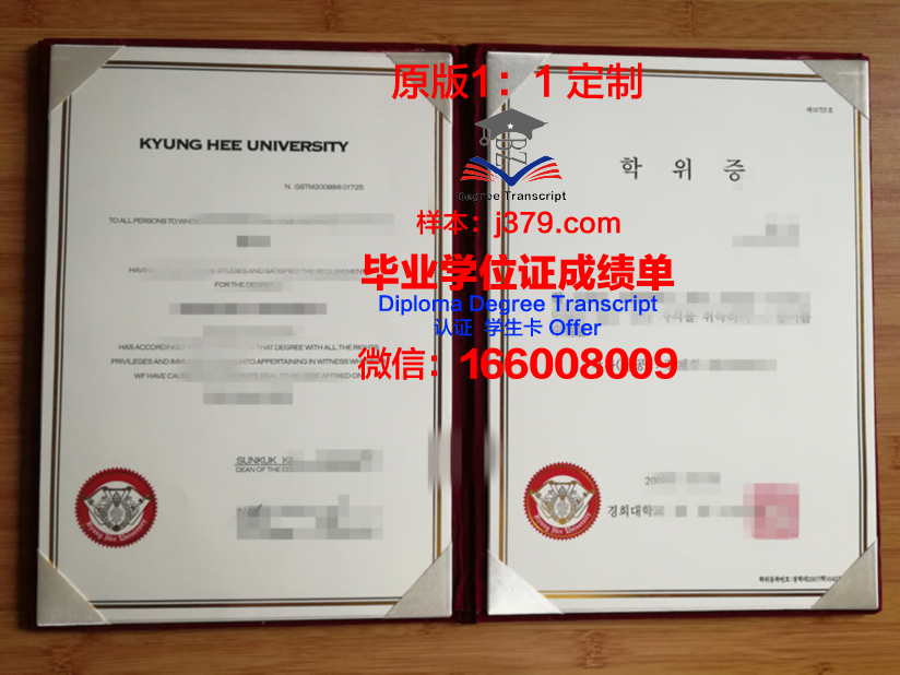 拉芬斯科拉提卡学院diploma证书(拉蒂芬丁)