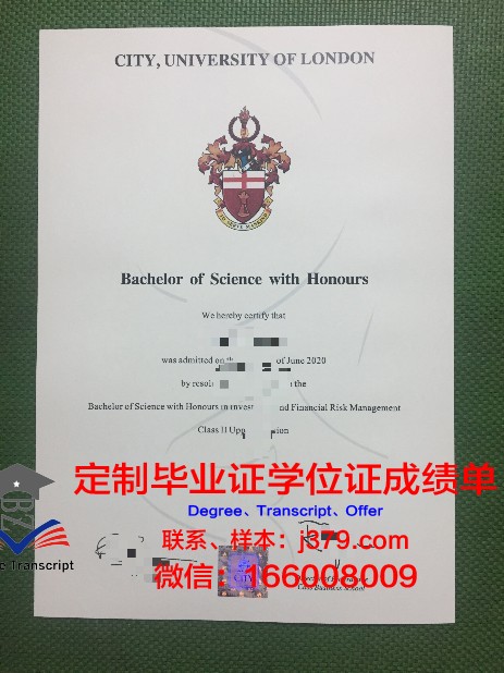 提契诺大学毕业证学位文凭学历Diploma