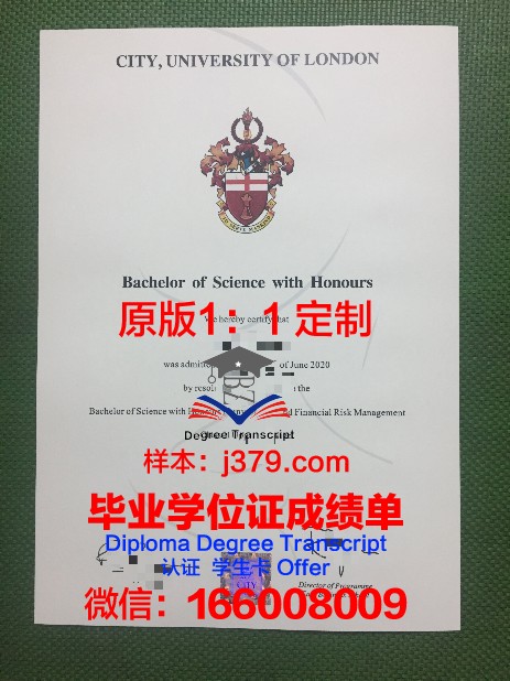 比萨大学毕业证原件(毕业证大学图片)