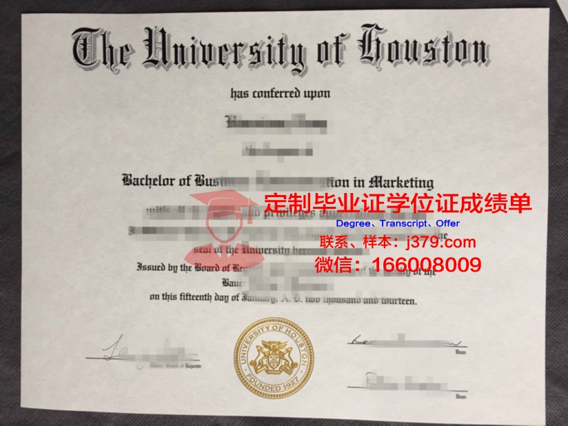 拉筹伯大学硕士毕业证书样本(拉筹伯大学商学院)