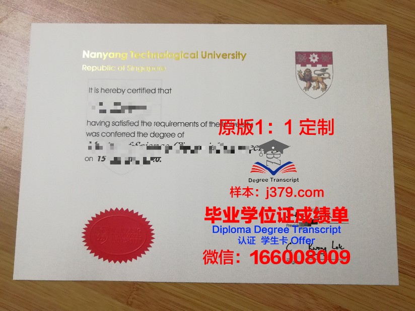 母亲瓦伊什诺德维大学毕业证案例